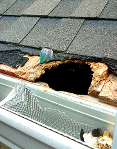EPDM Rubber Roof Repair in Courtland, Virginia