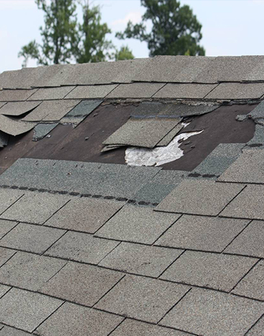 Flat Roof Repair in South Mills,NC